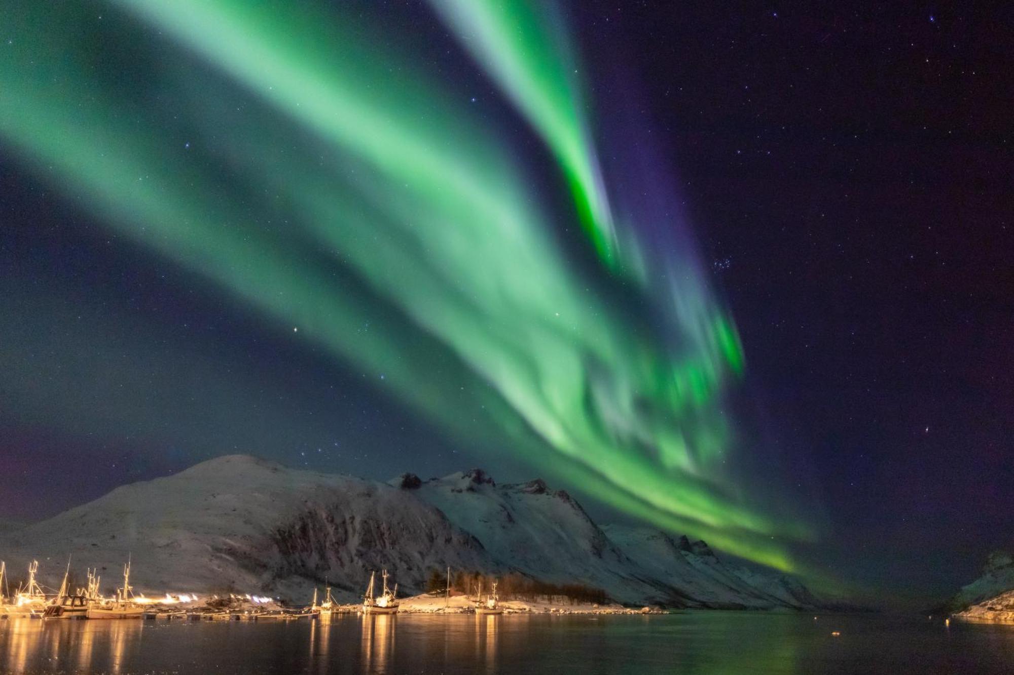 Arctic City Studio - Perfectly Located In The Main Street Tromsø Exteriör bild